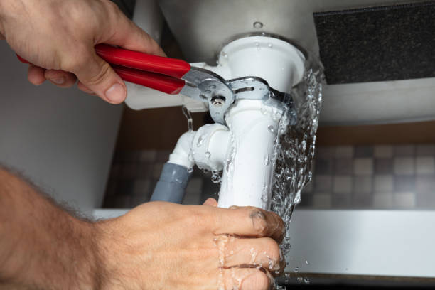 Best Sewage cleanup and water damage restoration  in Fenton, MO