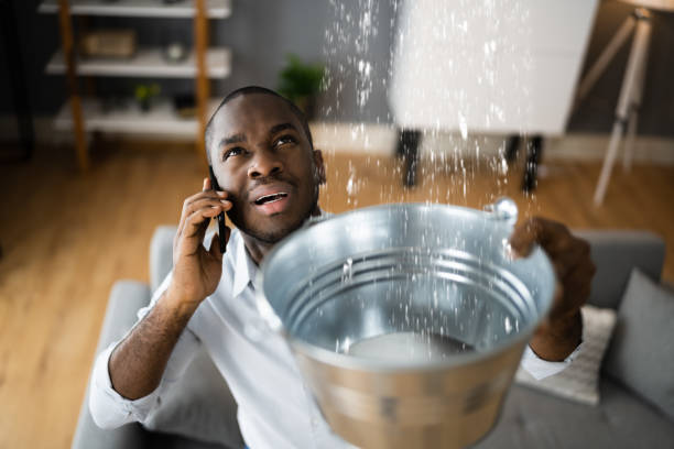 Best Water damage contractors near me  in Fenton, MO