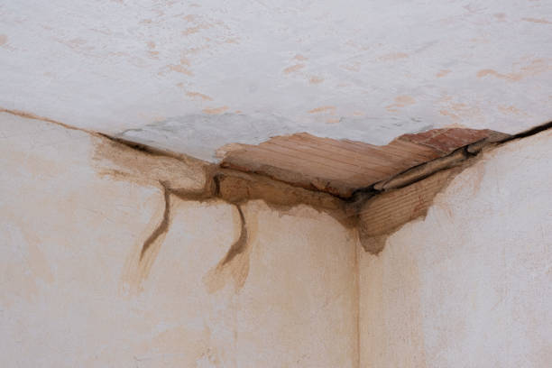 Water damage restoration experts in Fenton, MO