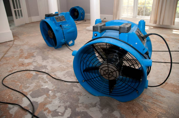 Best Carpet water damage restoration  in Fenton, MO