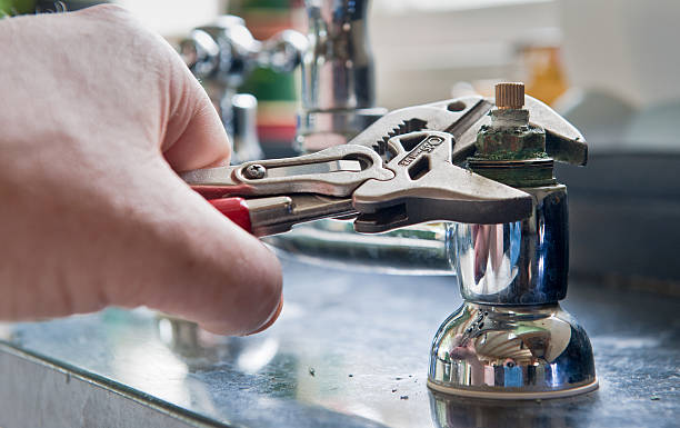 Best Mold removal after water damage  in Fenton, MO