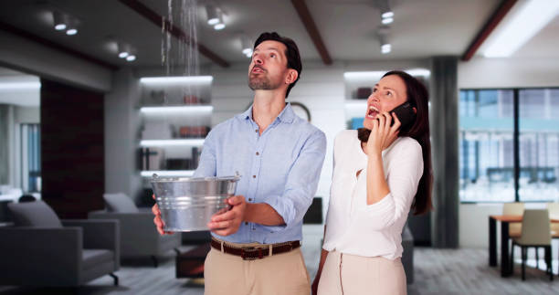 Best Water damage restoration near me  in Fenton, MO